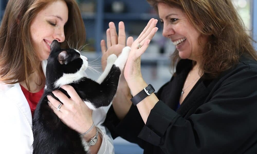 Somerset Veterinary Group