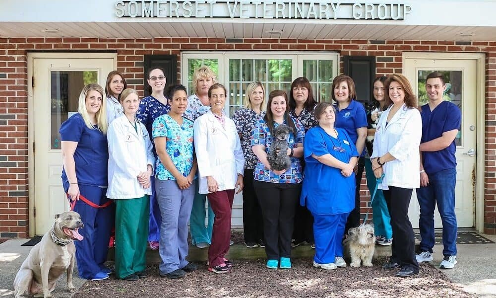 Somerset Veterinary Group