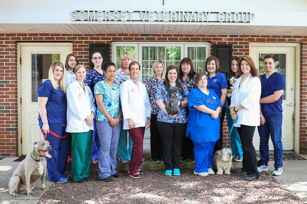 Somerset Veterinary Group