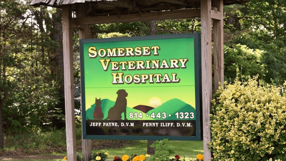 Somerset Veterinary Hospital