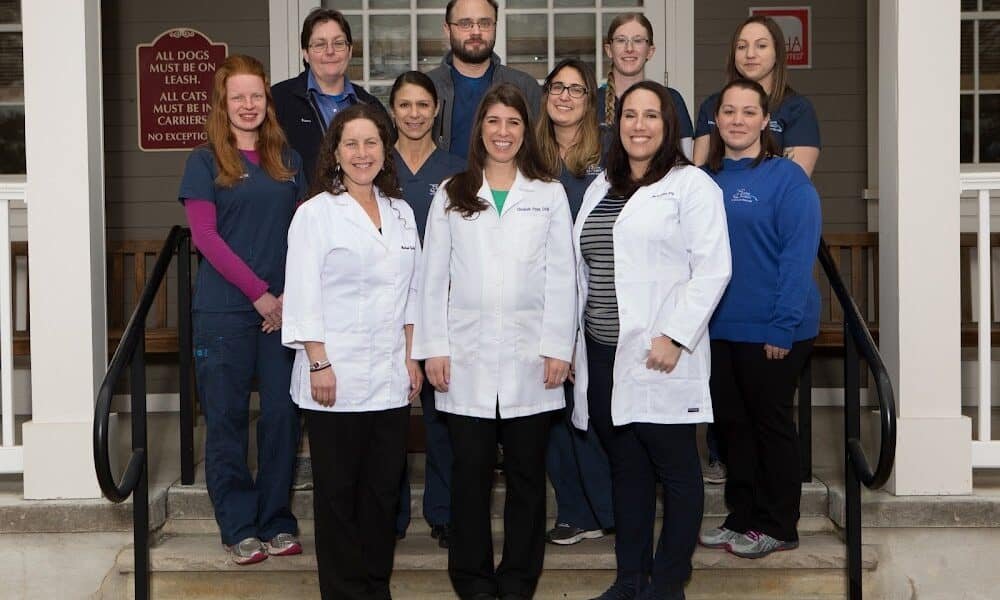 South Branch Veterinary Services