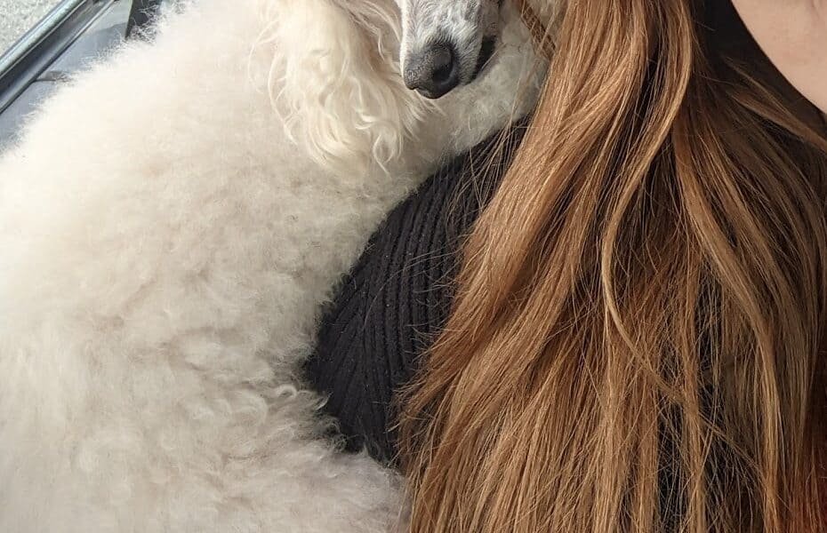 Susan’s Downtown Pet Salon