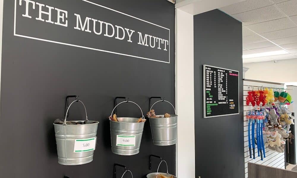 The Muddy Mutt