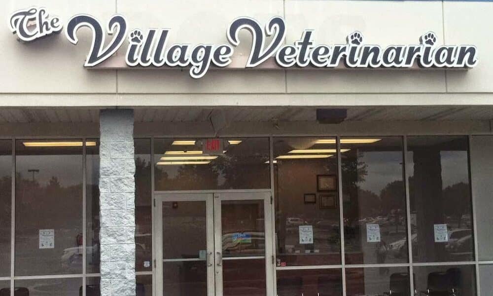 The Village Veterinarian