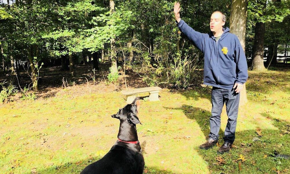 Tom’s Dog Training