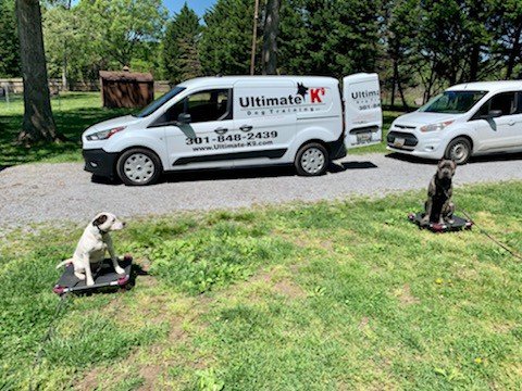 Ultimate K9 Dog Training LLC