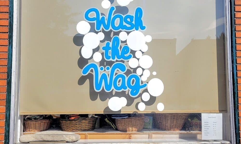 Wash the Wag