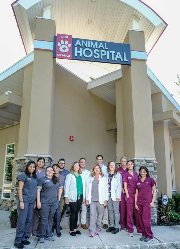 West Orange Animal Hospital