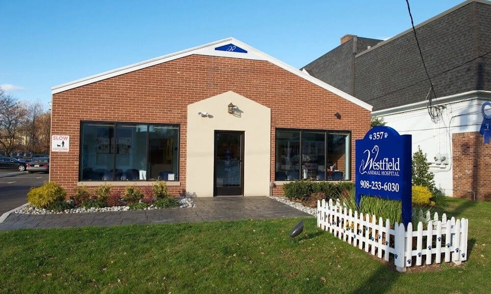 Westfield Animal Hospital